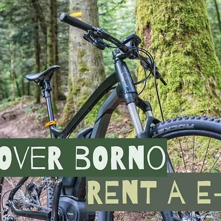 Casa vacanze Ca' Marietta Al Centro Storico *